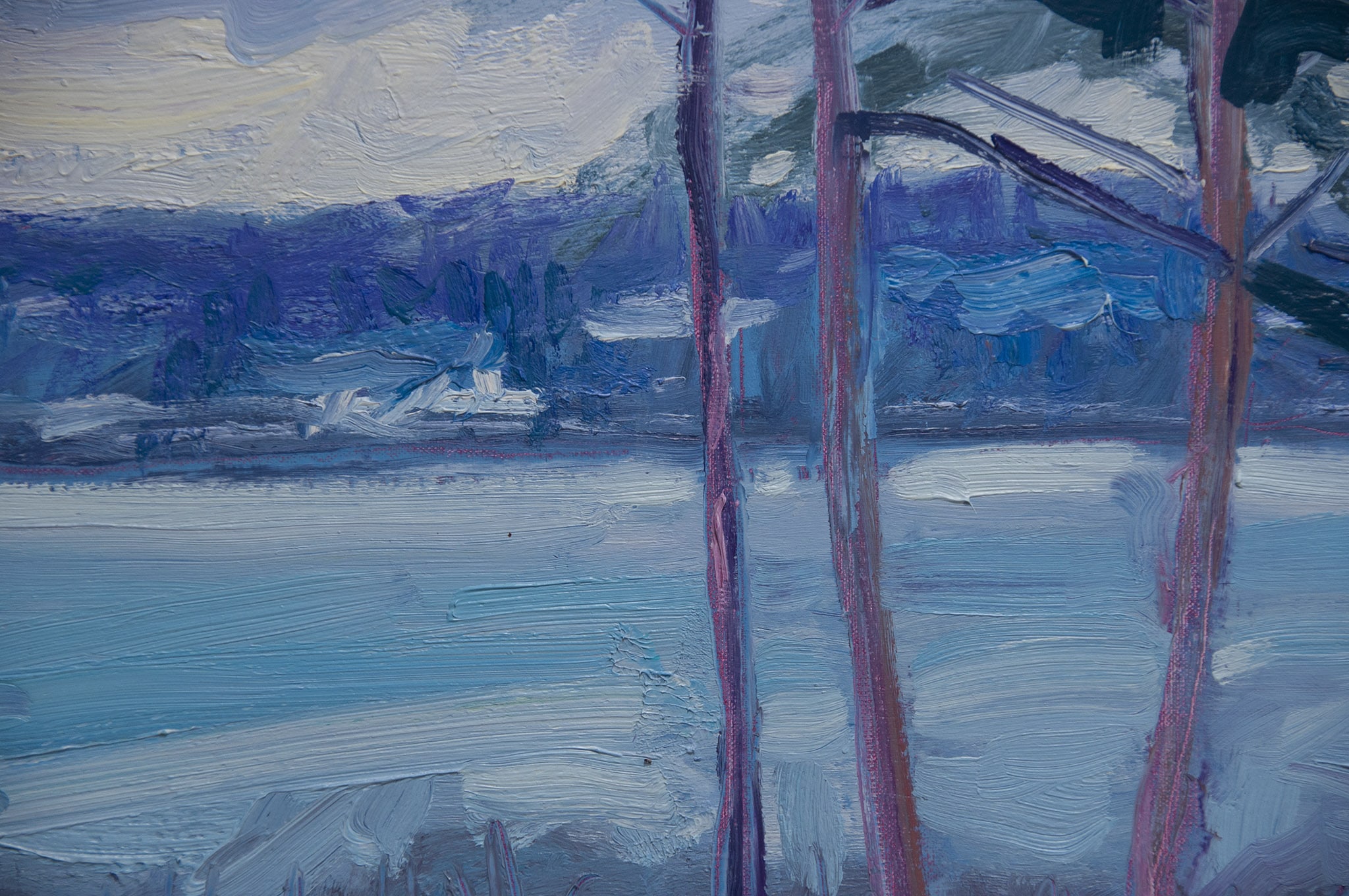 The Snow Turned Into Rain—Fir Grove, Dusk Brian Mahieu