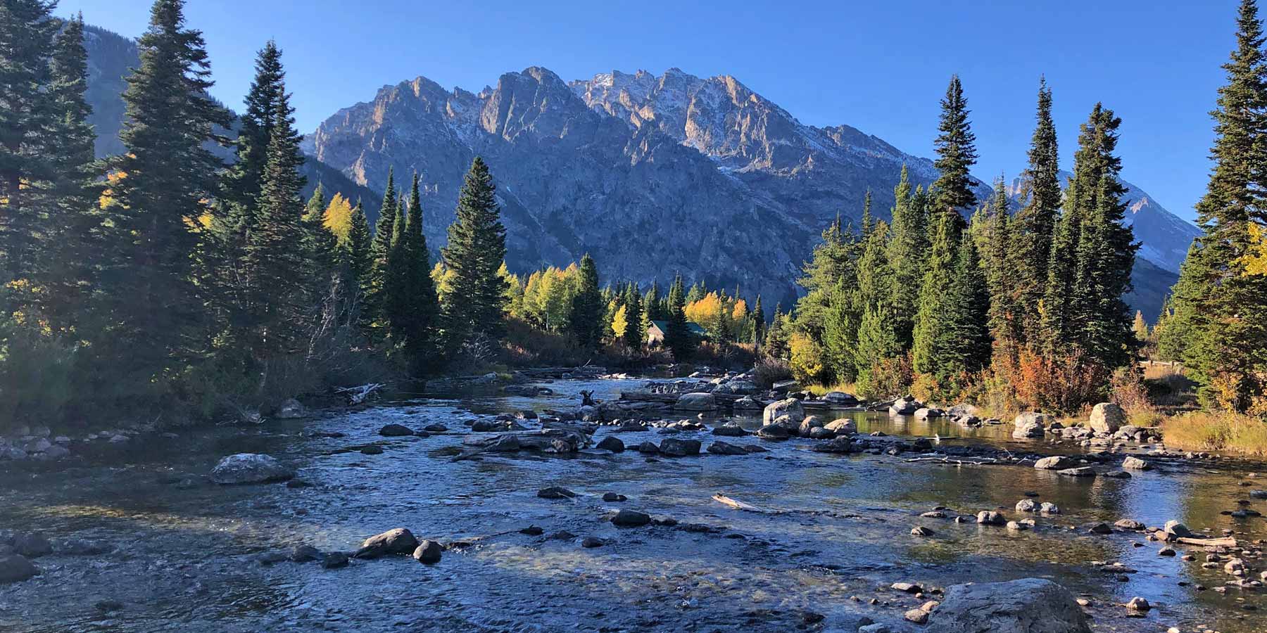 Jackson Hole Real Estate · Brian Siegfried Real Estate