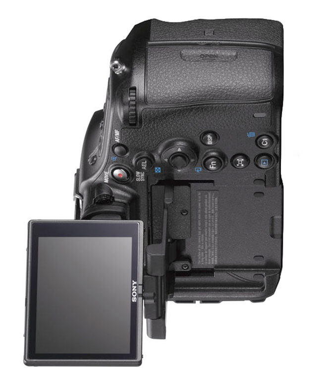 Sony4WayTiltScreen Portrait Photographers Miami l Celebrity