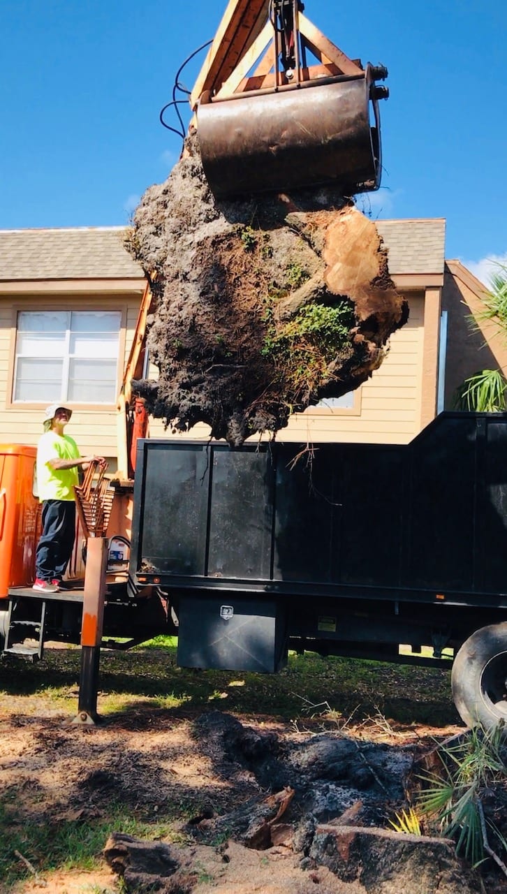 About Brian's Quality Tree Service