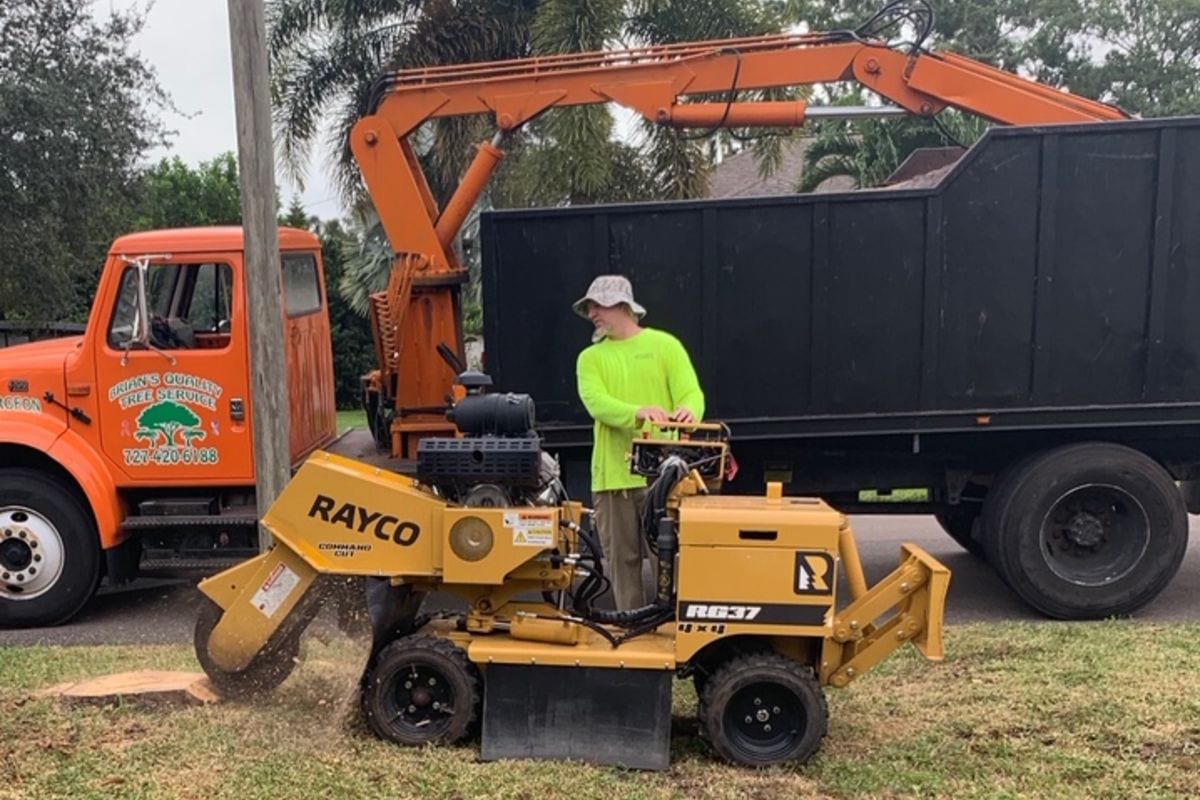 Brian's Quality Tree Service Quality Tree Work At A Fair Price