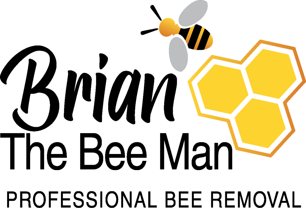 Broward County, Fl Bee Removal Services Brian The Bee Man Palm