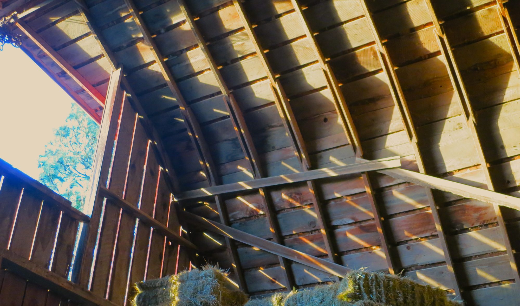 Collecting Slants of Light Barnstorming