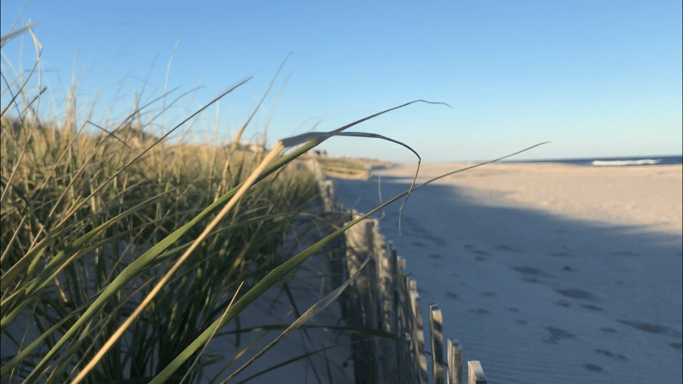 Brick Beaches Reopen, Reservoir to Remain Closed to Public Brick, NJ
