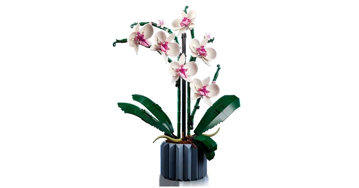 Every LEGO Botanical Collection Set Ever Released Brick Bucks