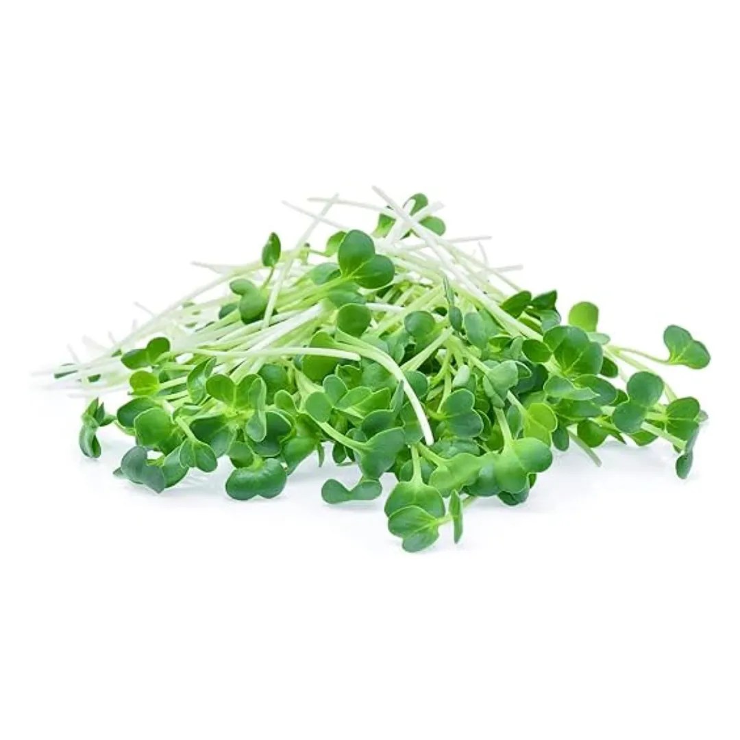 Broccoli Waltham 29Microgreens60 grams 🌱 Brickell Micro Farms