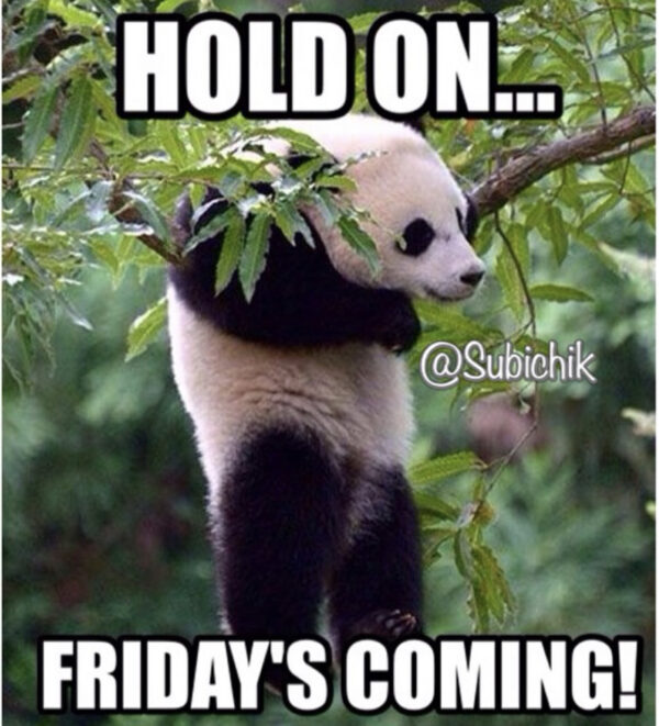 friday eve meme Bridal Shower 101