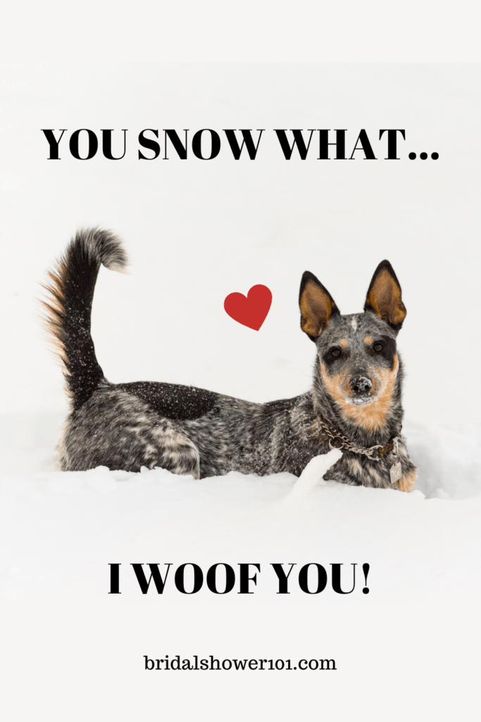 81 Funny Snow Puns For Winter Lovers Bridal Shower 101