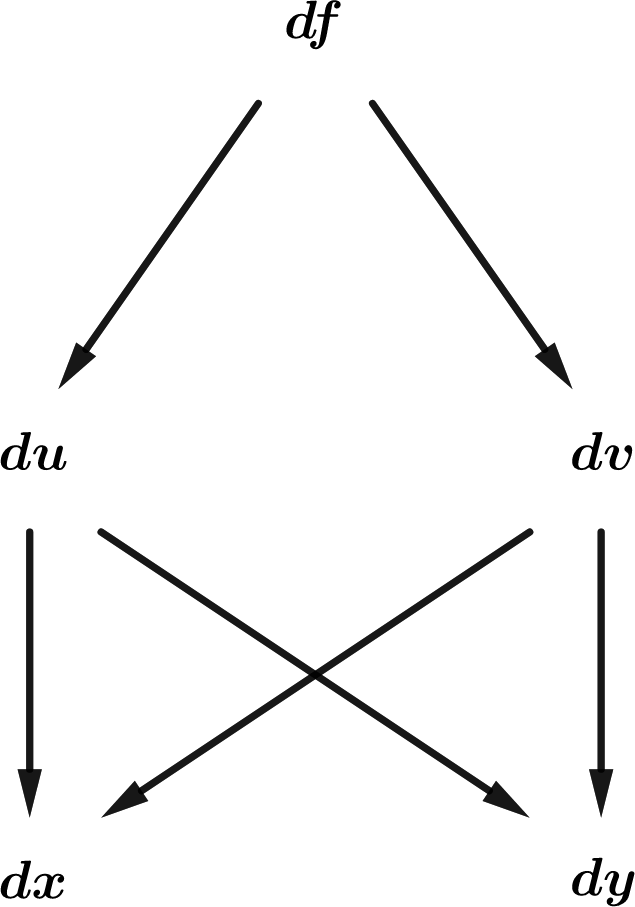 Chain Rule via Differential Tree Diagrams