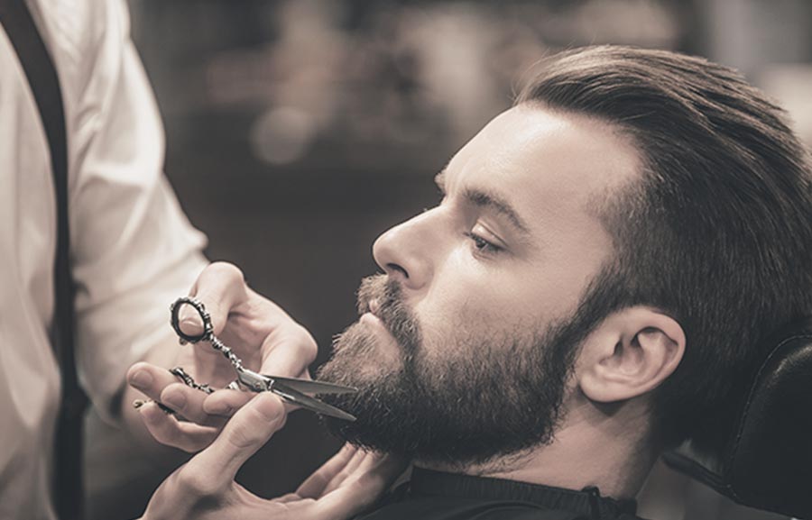 Bridge Demo Site for Barber