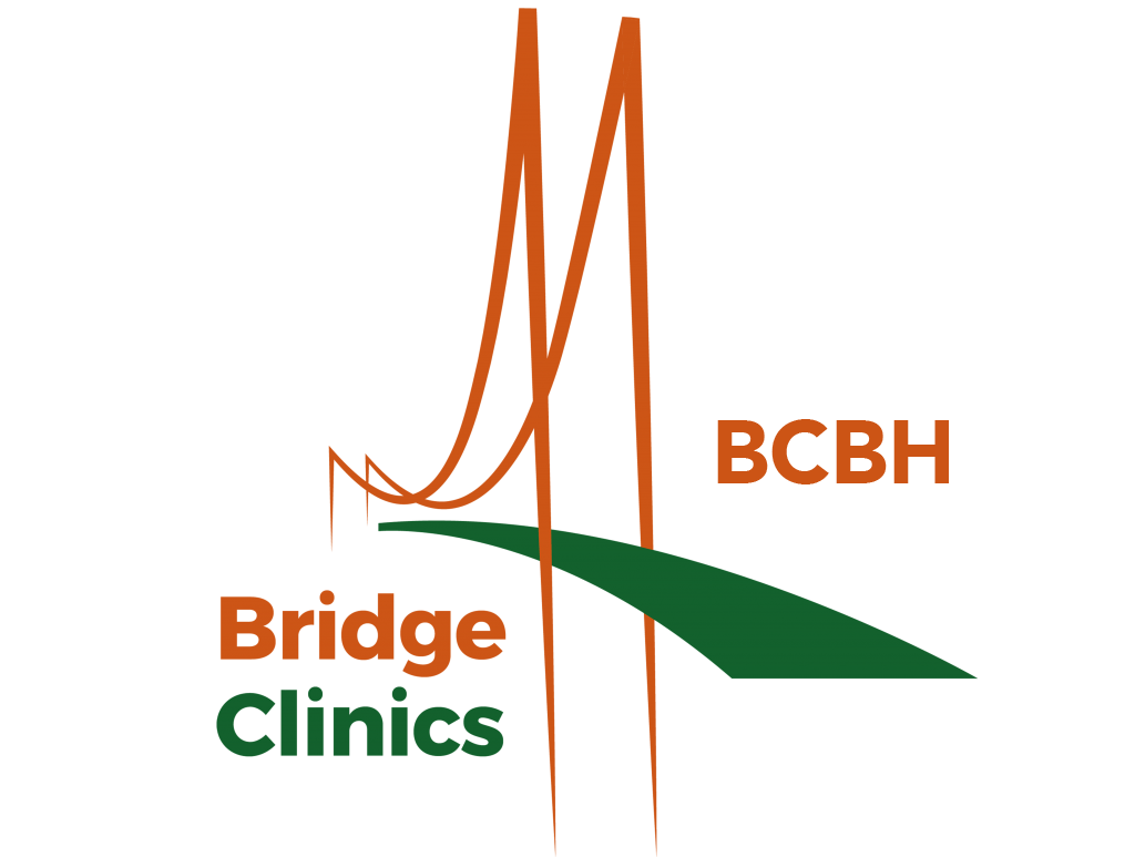 Home Bridge Clinics
