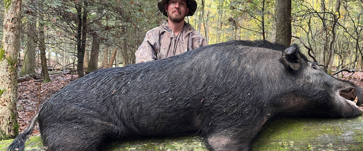 Bridgecreek Farms LLC Monster Boar Hunting in East TN
