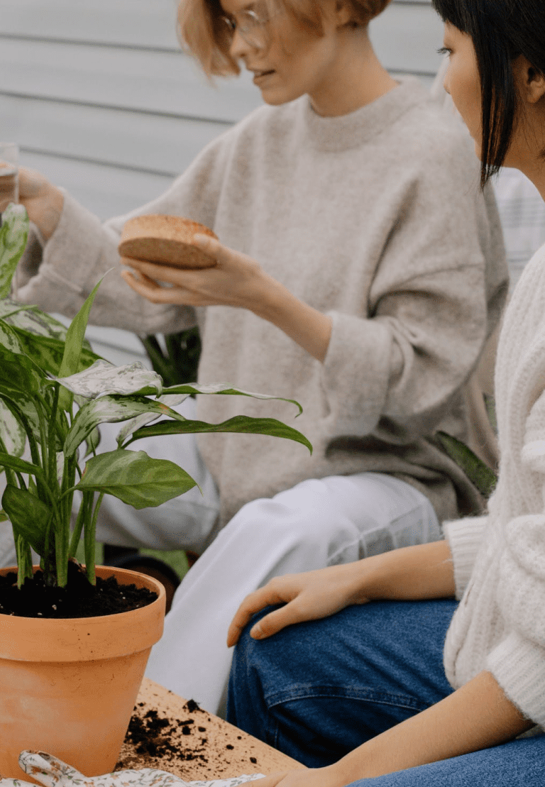 Live Bridgeland Apartments Calgary Bridgeland Calgary Rentals