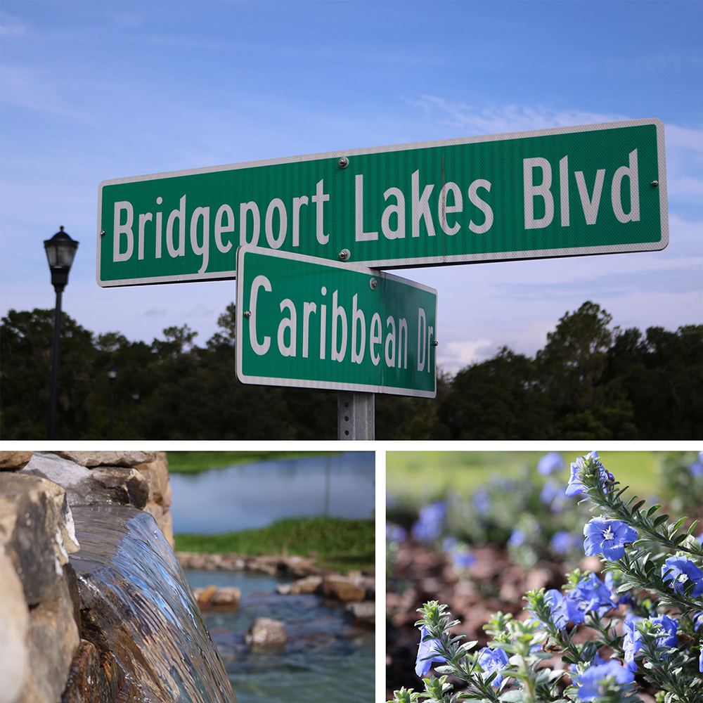 Bridgeport Lakes Large Lots Available