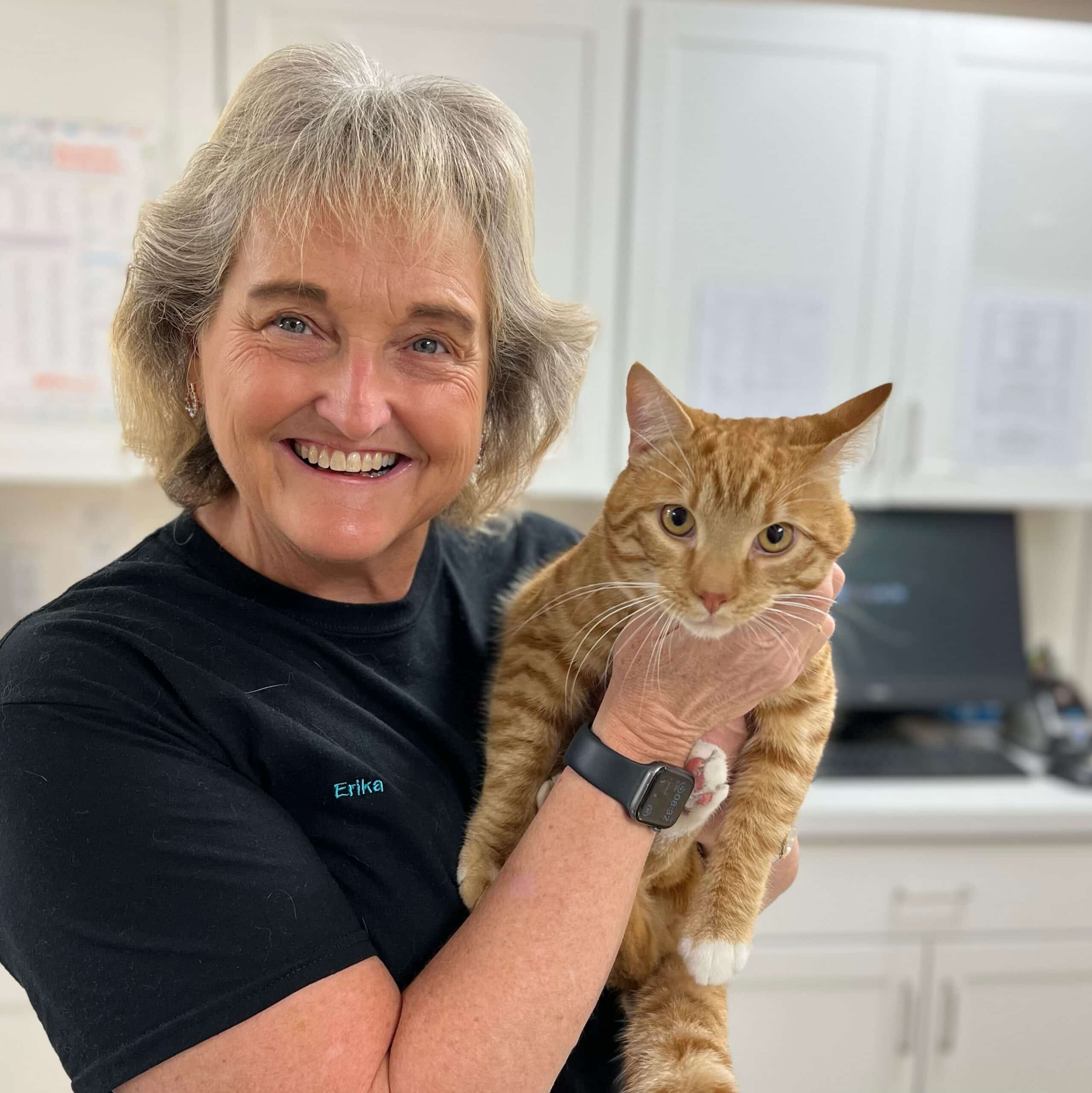 Services Bridgeport Veterinary Hospital Bridgeport Veterinary Hospital