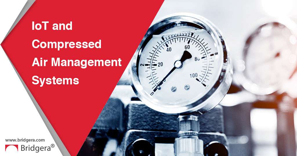 IoT Remote Monitoring in Compressed Air Management Systems