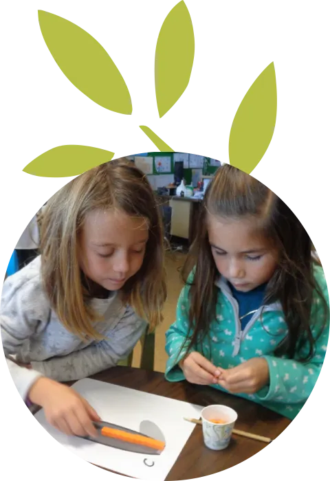 Charter School in Thousand Oaks | Bridges Charter