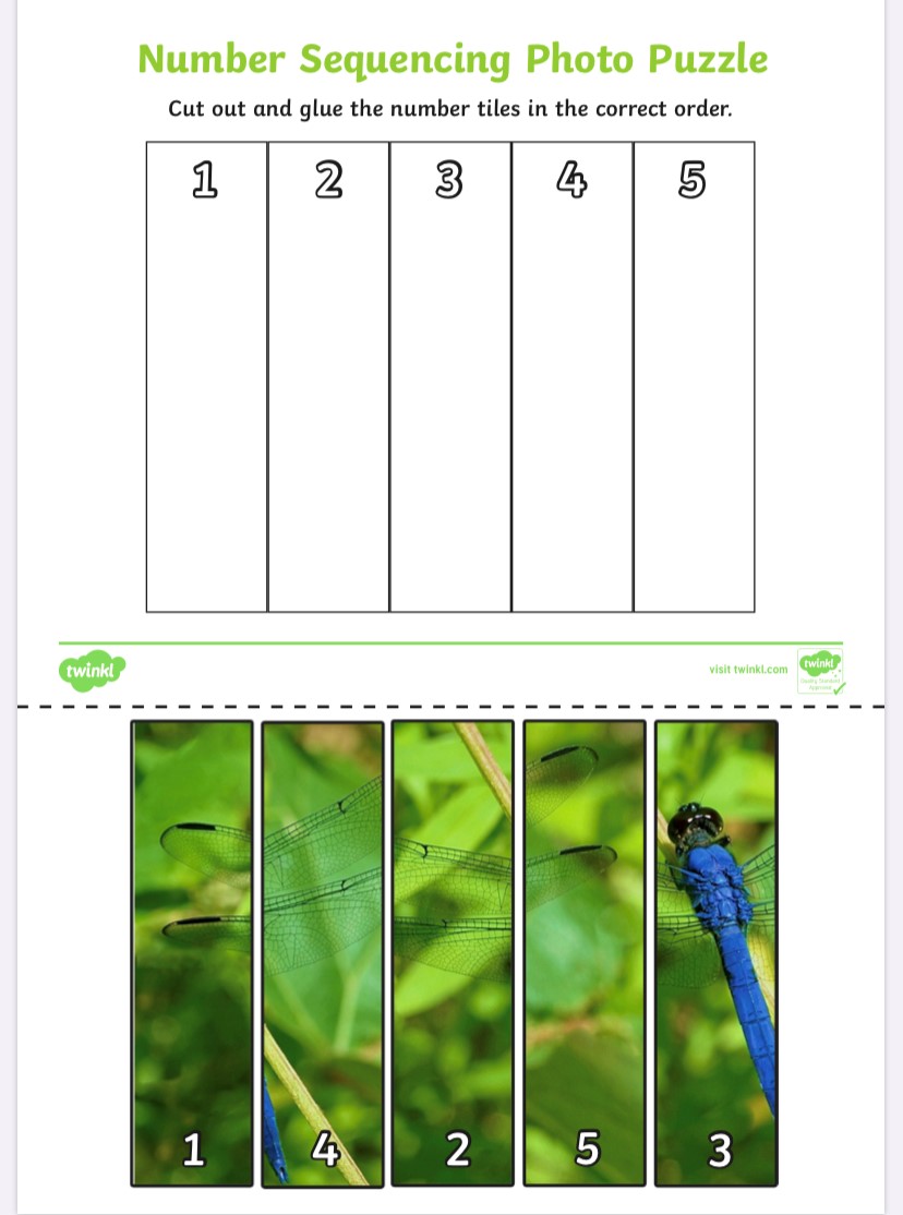 11 Bridgewater School Prep. Department