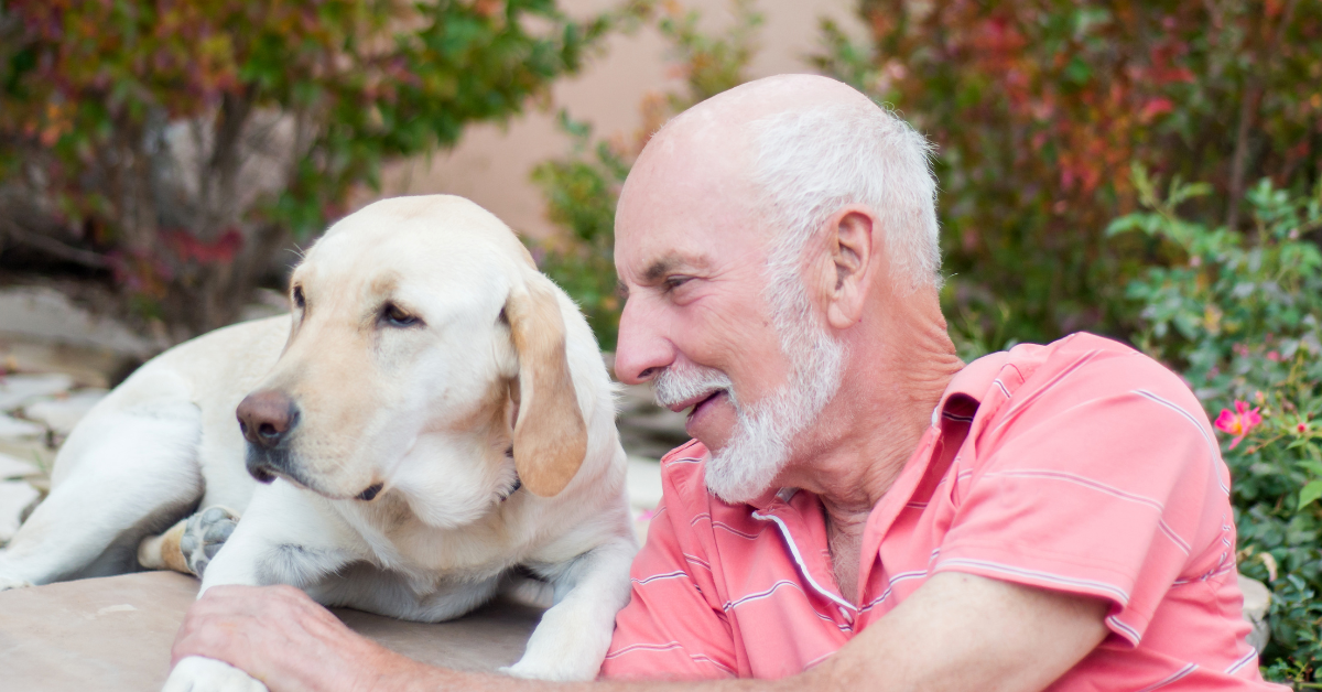 Emotional Support Dogs (And Other Emotional Support Animals) BridgingApps