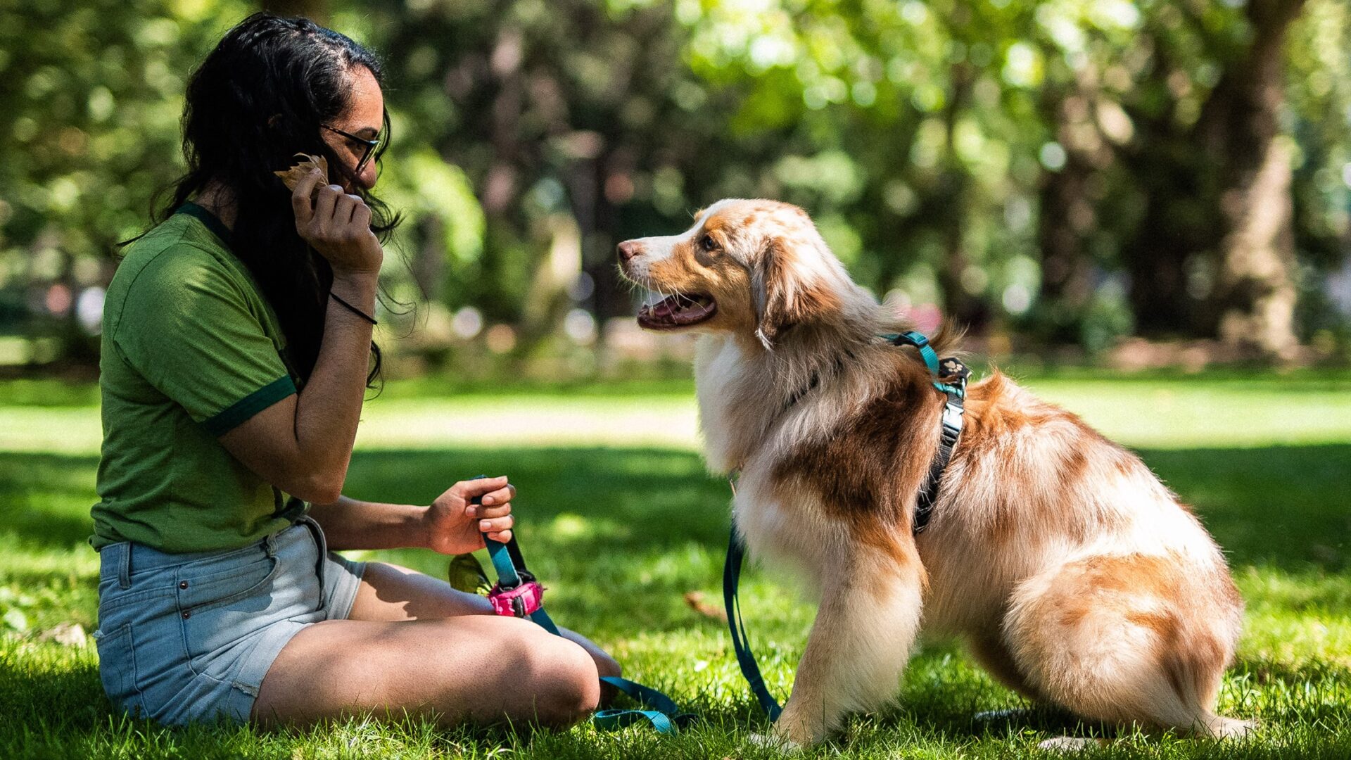 BridgingApps Reviewed App Rover—Dog Sitters & Walkers BridgingApps