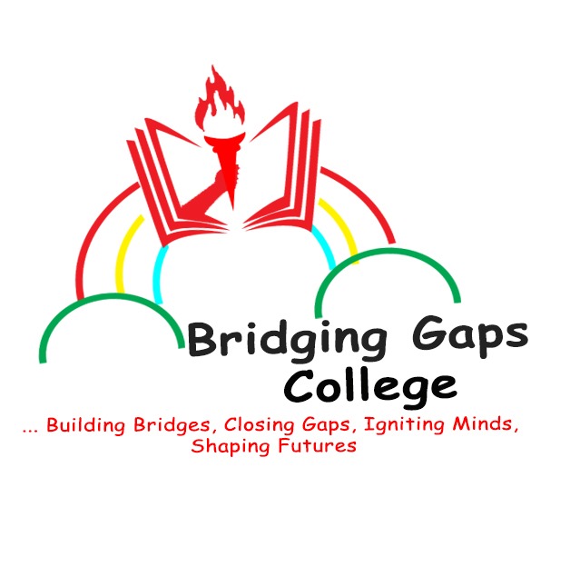 About BRIDGING GAPS SCHOOL