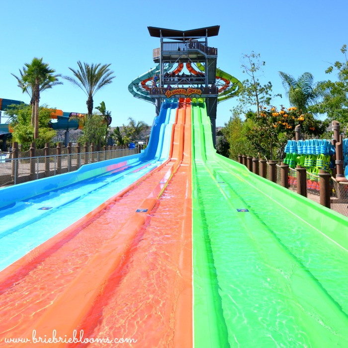 Family Waterpark Fun At Aquatica San Diego - Brie Brie Blooms