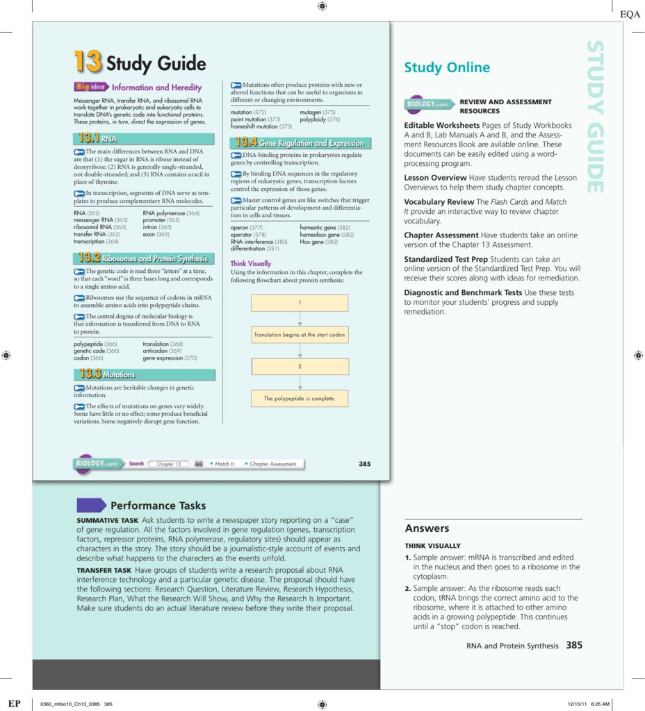 13.1 RNA Worksheet Answers
