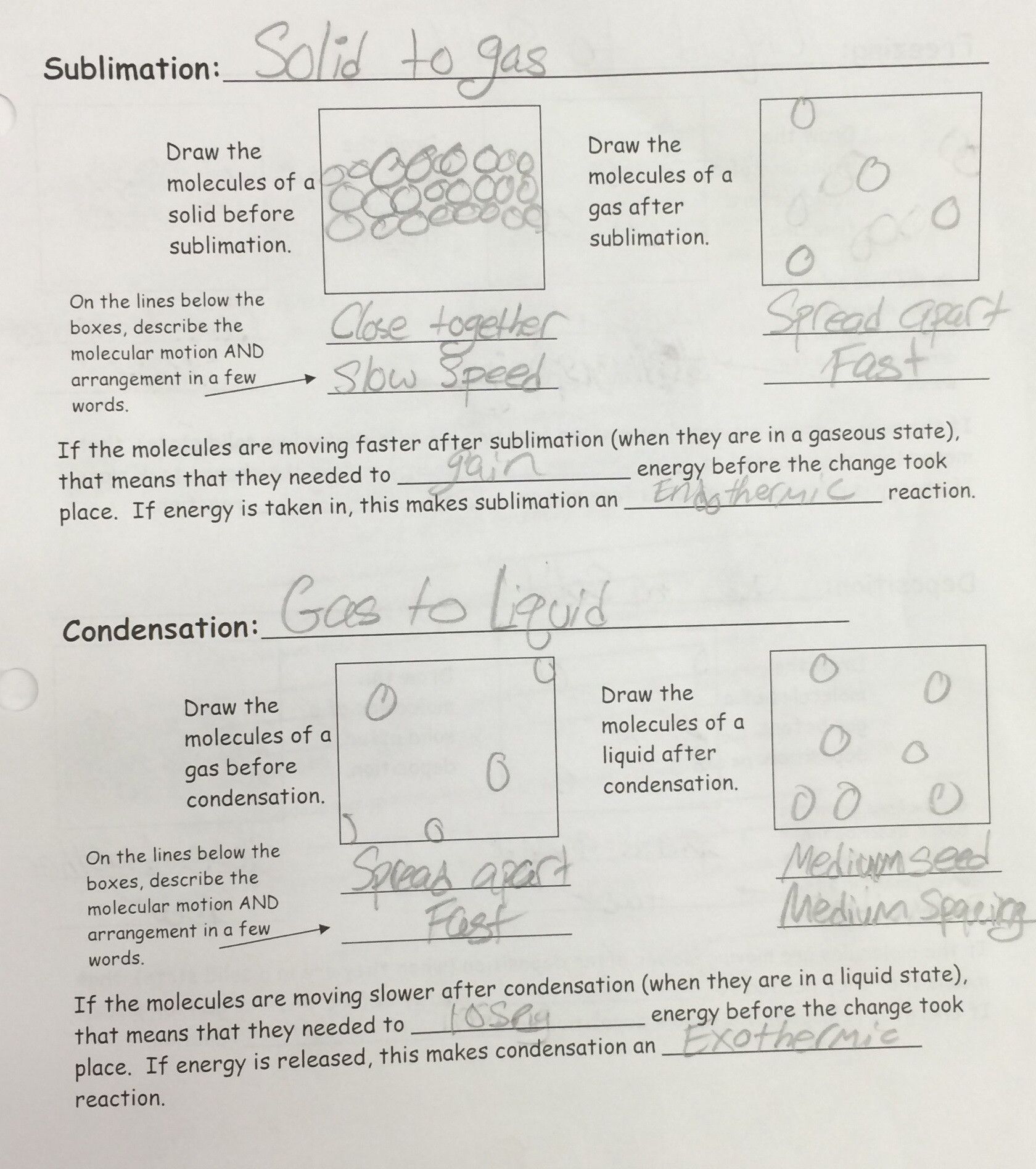 Calculating Specific Heat Worksheet Answers