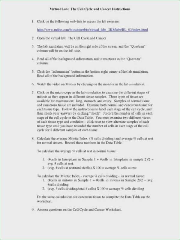 Virtual Lab the Cell Cycle and Cancer Worksheet Answers