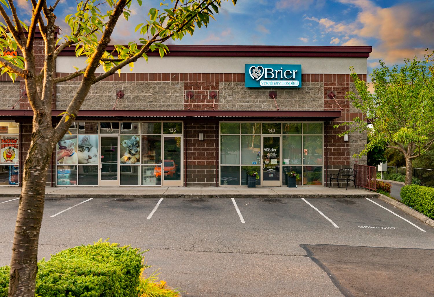 Best Veterinary Hospital In Mountlake Terrace, WA Brier Veterinary