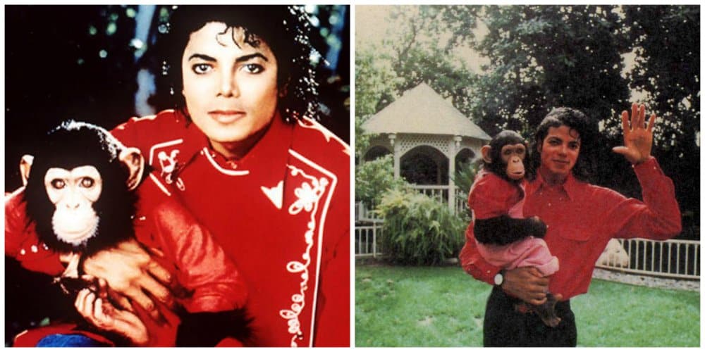 Michael Jackson The Trivia Page 16 of 24