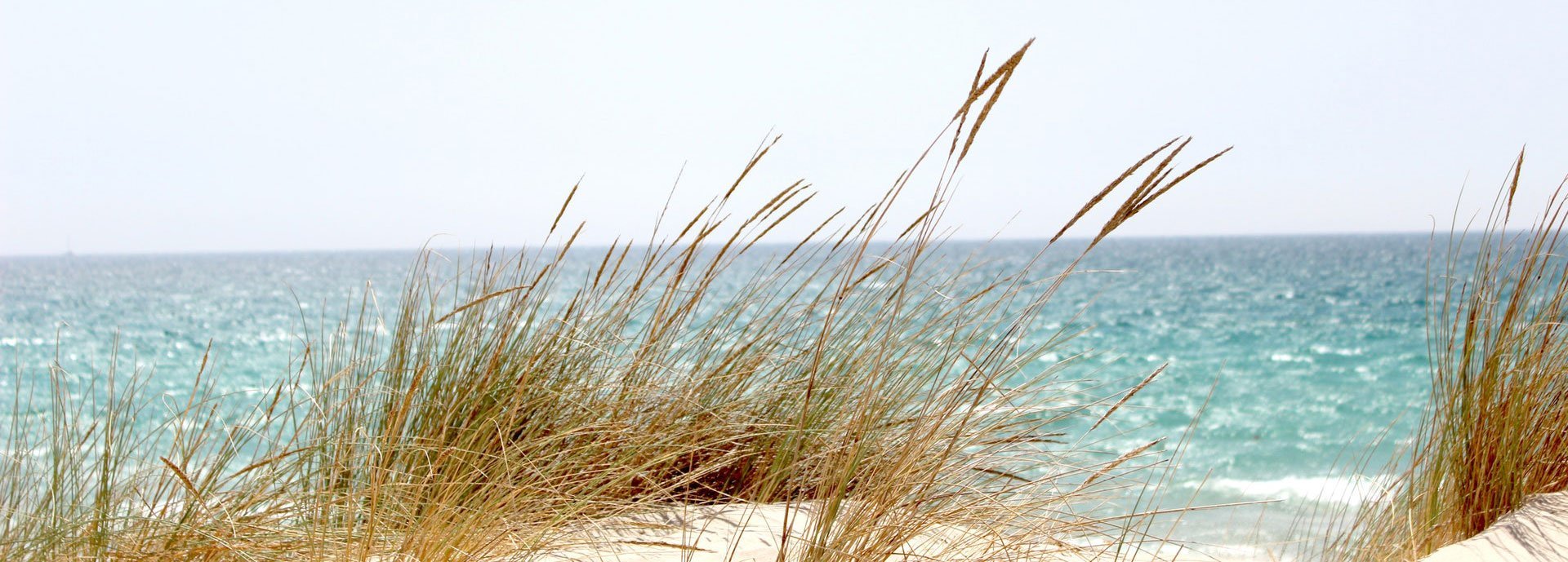 About Brigantine Beach Properties