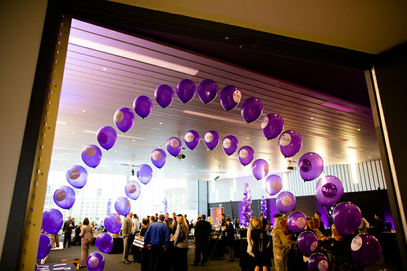 Brigette's Bargain Balloons Arches