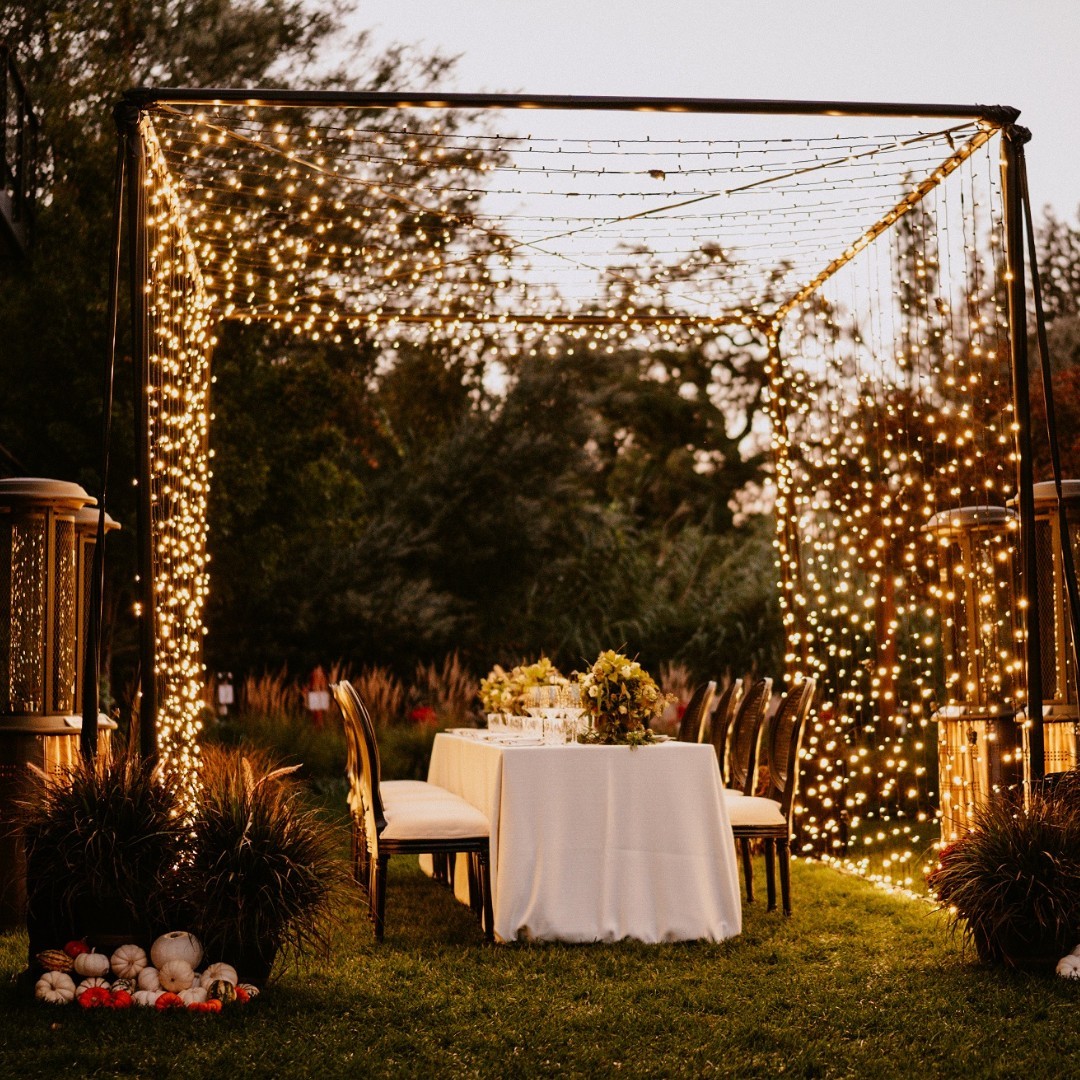 CHARLOTTE CHAIR Rentals Bright Rentals