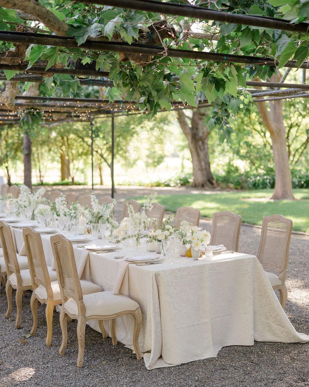 Arthur Chair Rental Bright Rentals