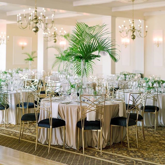 CHAMELEON BRONZE FLEUR DE LIS Rentals Bright Rentals
