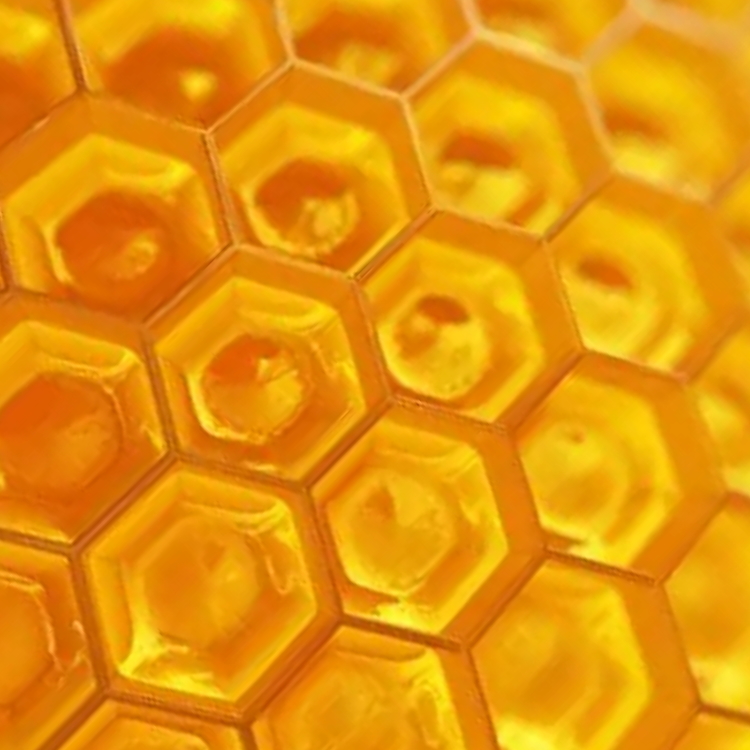 Frameless Shower Screen Pros And Cons Bright Beehive