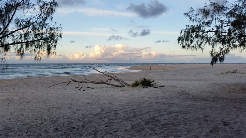 ⛺ A Guide to The Best Inskip Point Camping Spots Bright Camping
