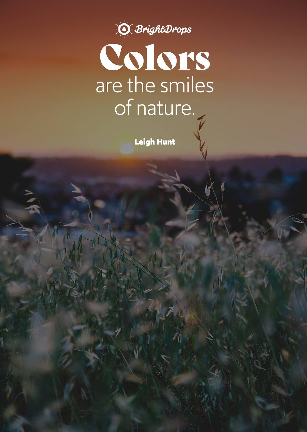 21+ Aesthetic Nature Caption Chika Ciku