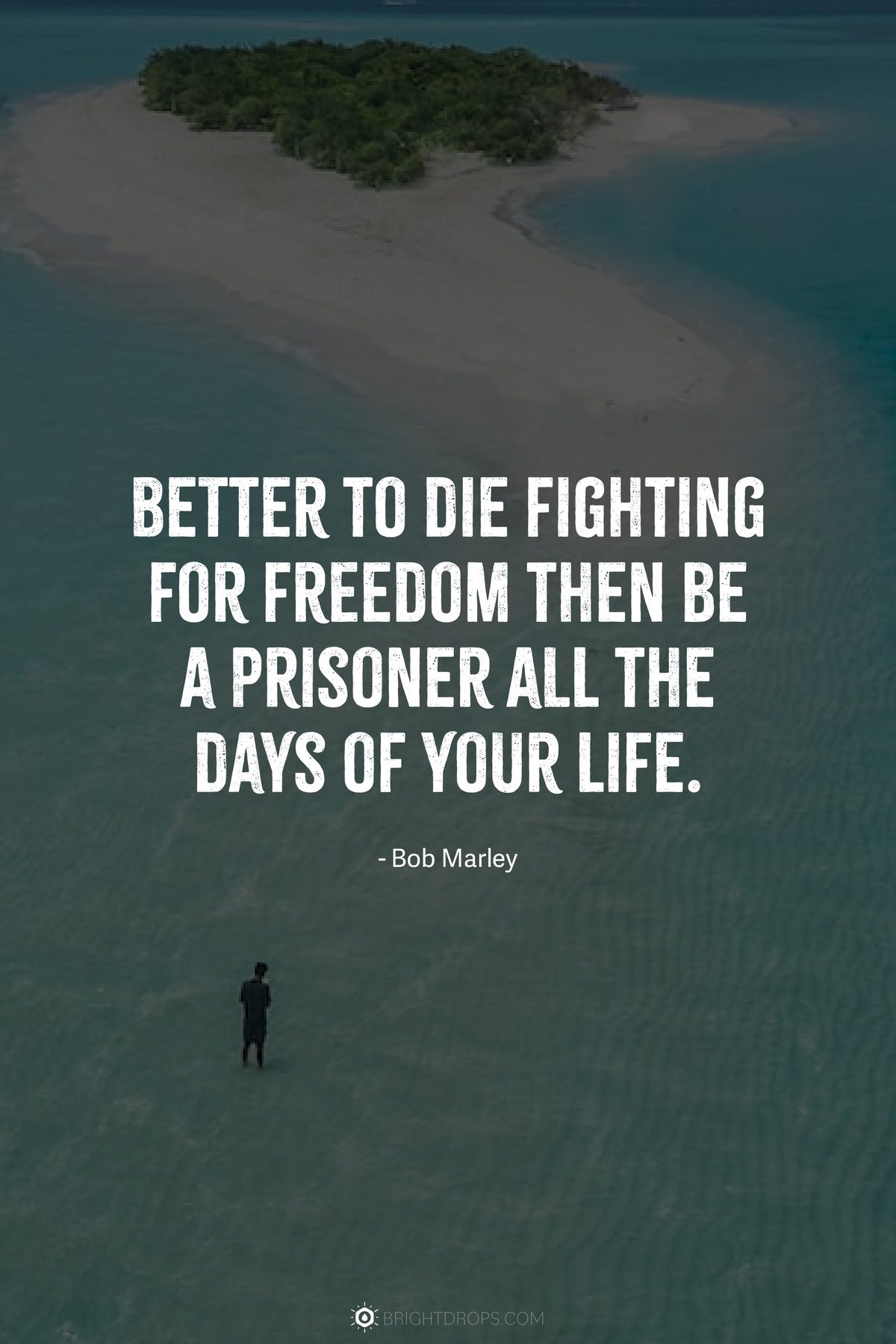 43 Quotes on Freedom to Reclaim Your Independence Bright Drops