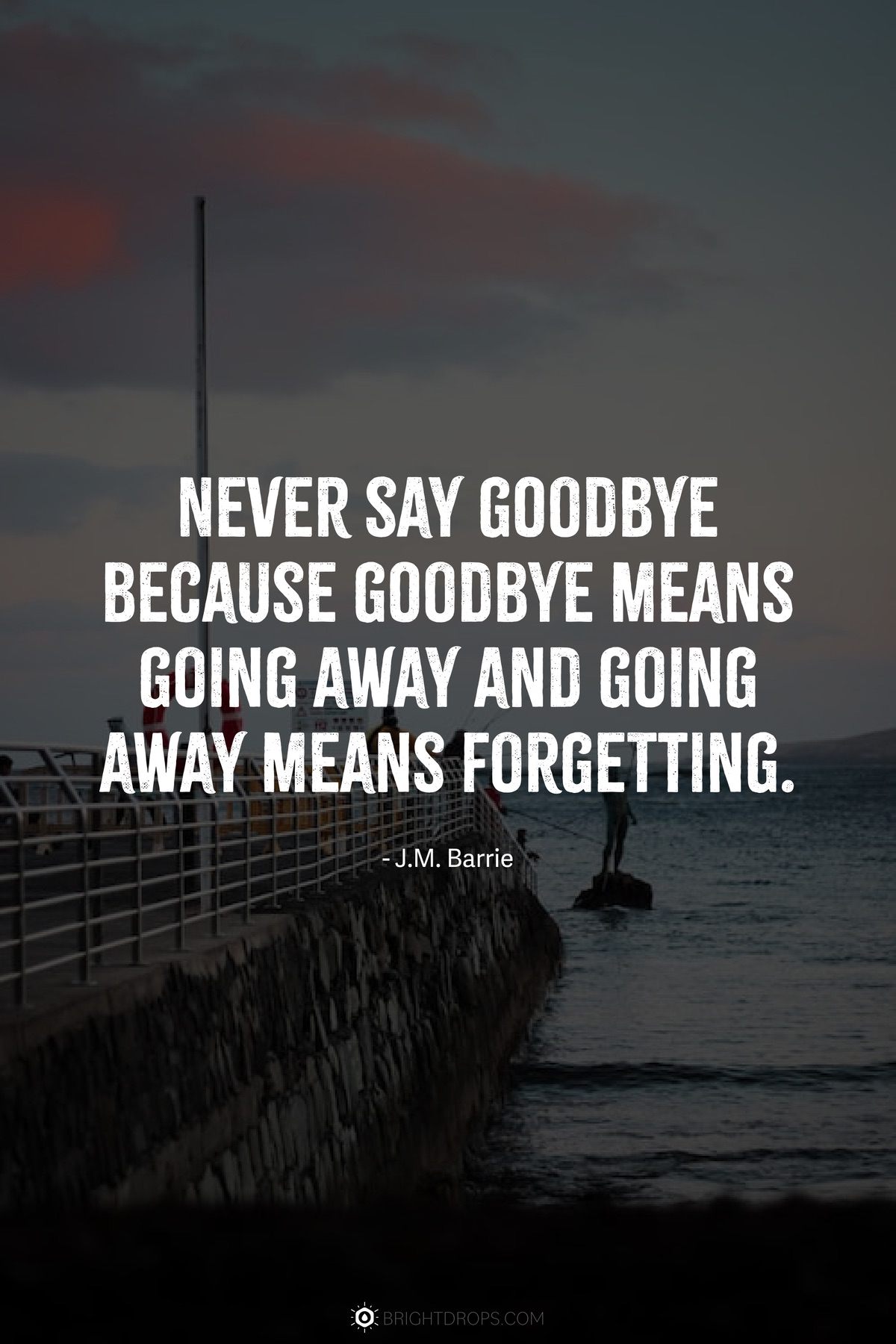 70 Goodbye Quotes to Express an Emotional Farewell Bright Drops