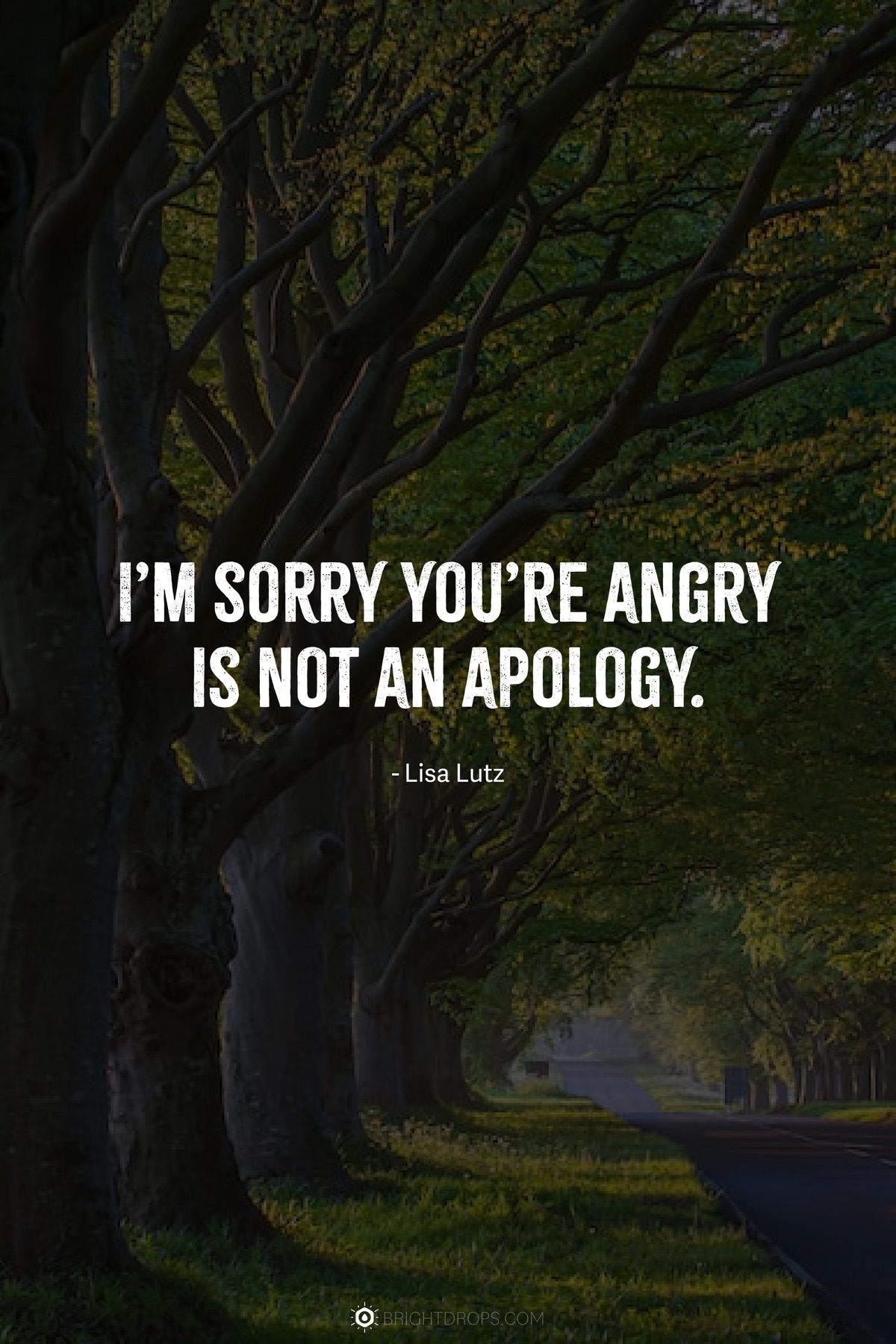 True Apology Quotes