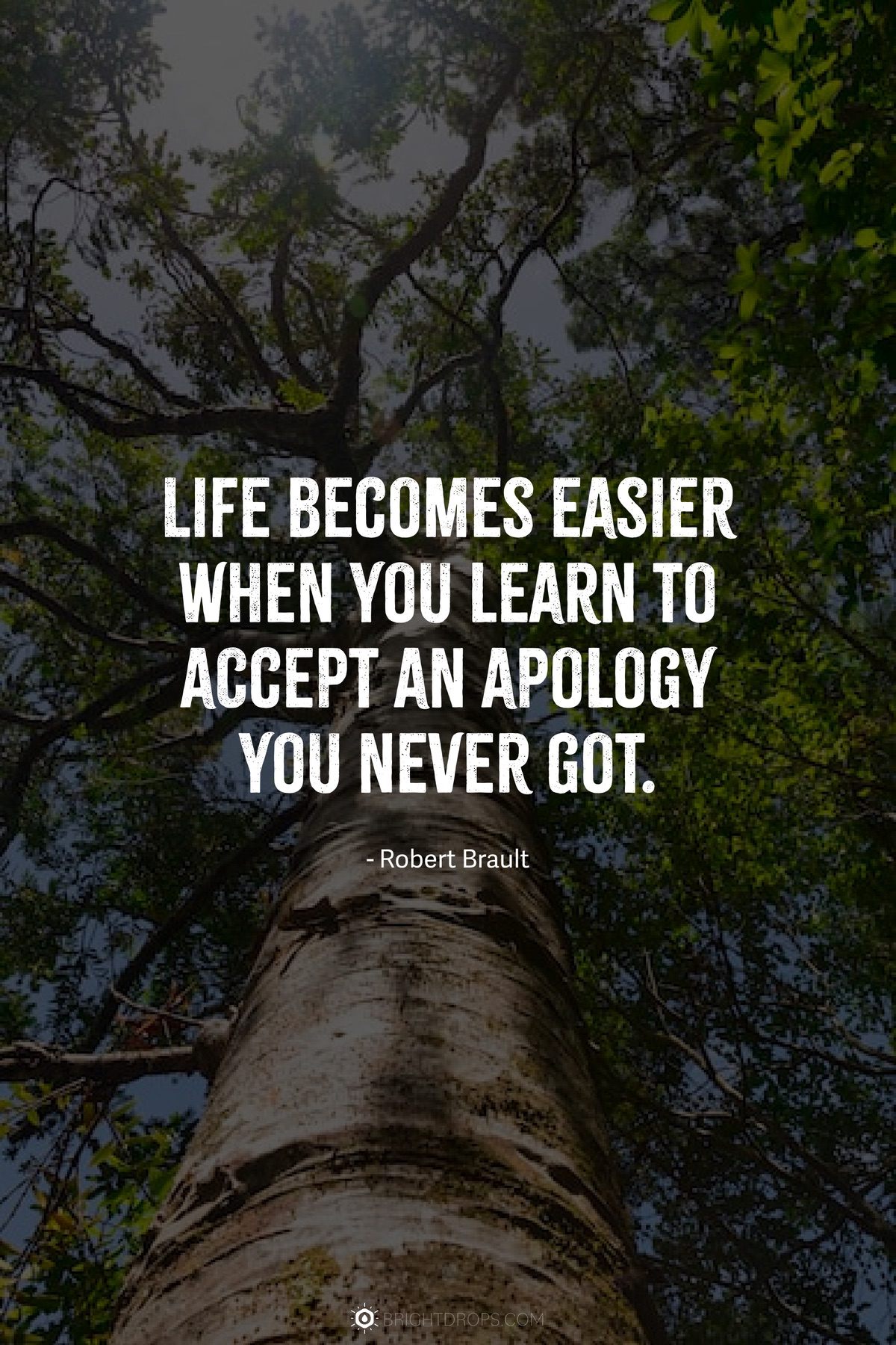 92 I'm Sorry Quotes to Apologize From the Heart Bright Drops