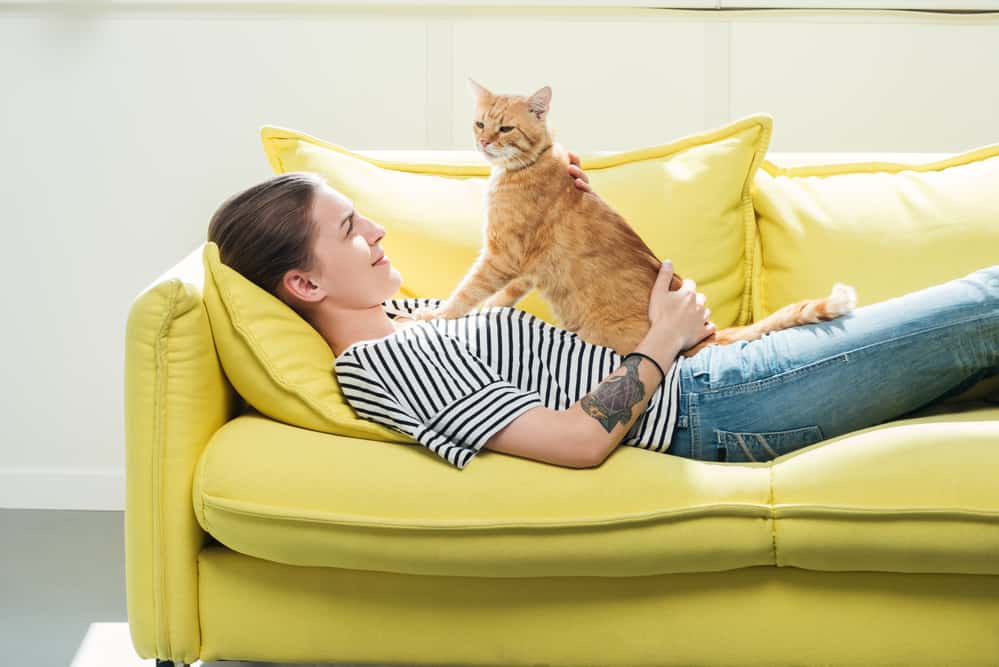 Cat Health What are the Healthy Cat Signs? Bright Freak