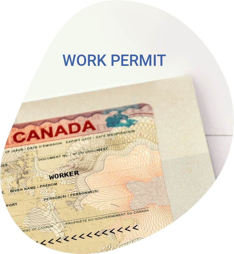 International Experience Canada Who Can Apply? Bright Immigration