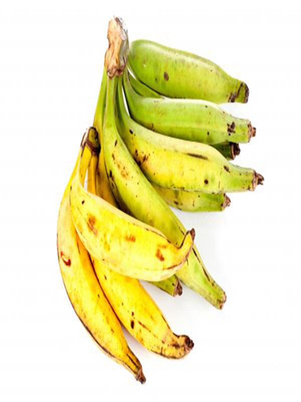 Bright Internationnal Produits Agroalimentaires