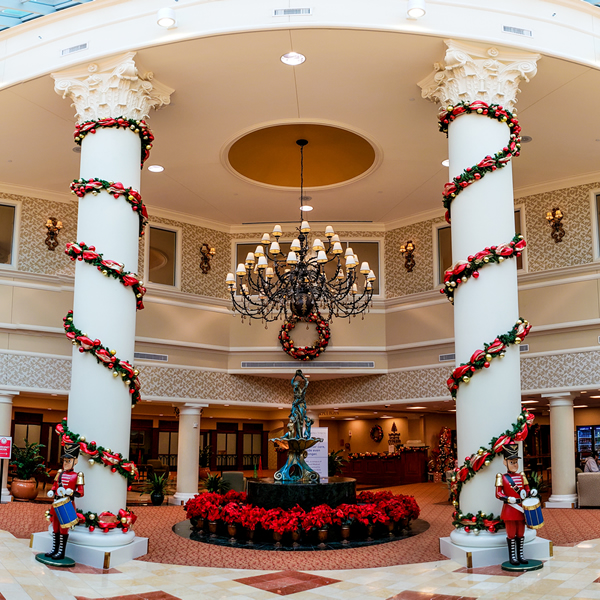 Bright Lights Houston Holiday, Christmas Light Installation, and Event Lighting