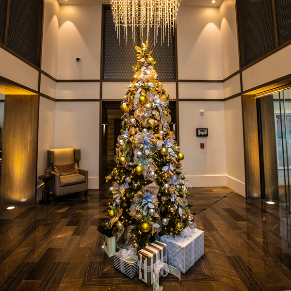 Bright Lights Houston Holiday, Christmas Light Installation, and Event Lighting