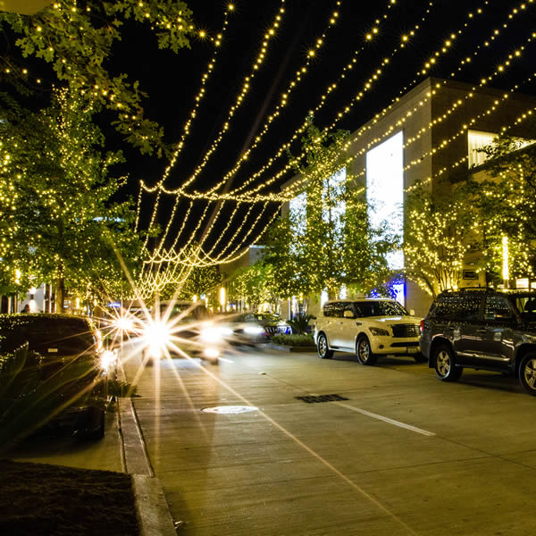 Bright Lights Houston Holiday, Christmas Light