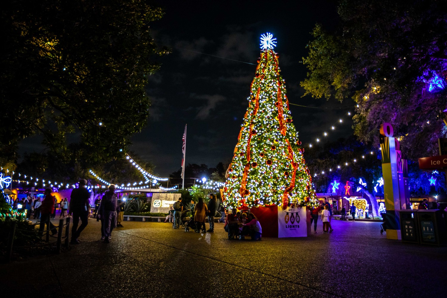 Bright Lights Houston Holiday, Christmas Light